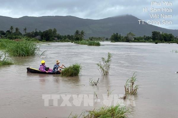 EVNCPC đã khôi phục sự cố do mưa lớn tại 467 trạm biến áp