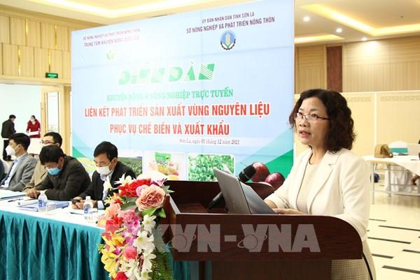 Liên kết phát triển sản xuất vùng nguyên liệu phục vụ chế biến, xuất khẩu