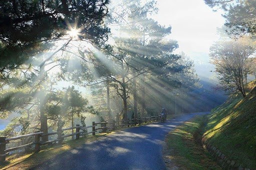 Hơn 510 tỷ đồng mở rộng đèo Prenn nối Đà Lạt với cao tốc Liên Khương