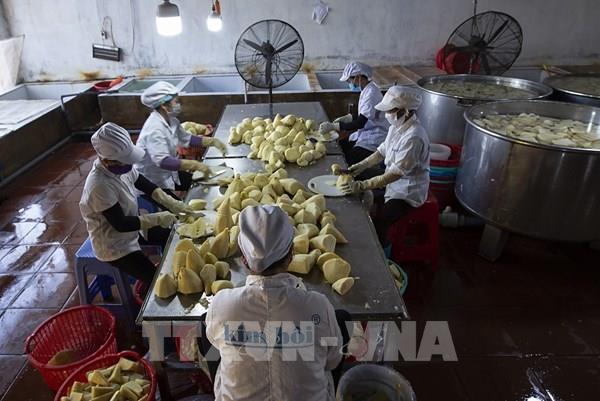 Thêm hơn 1.600 doanh nghiệp đầu tư vào nông nghiệp