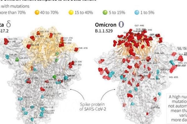 ECDC: Omicron có thể chiếm hơn nửa số ca mắc COVID-19 ở châu Âu trong vài tháng tới