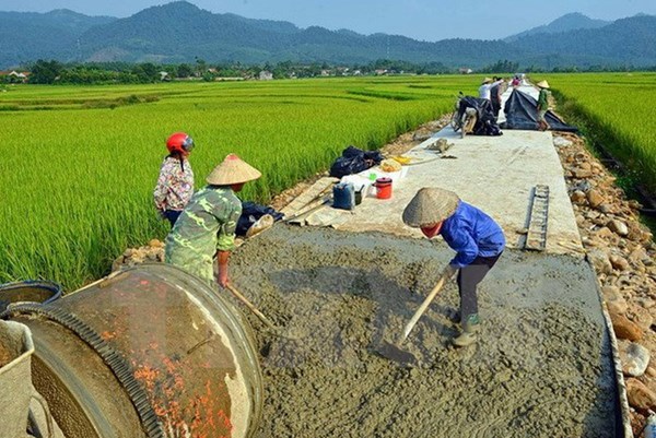 Xây dựng nông thôn mới giai đoạn 2021-2025: Giải quyết những vấn đề cấp thiết