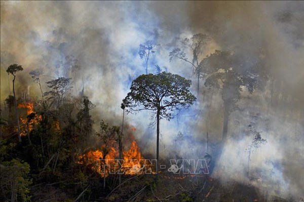 Cháy rừng tạo ra lượng khí thải kỷ lục trong năm 2021