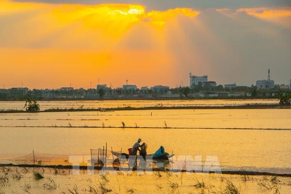 Vẻ đẹp mùa nước nổi