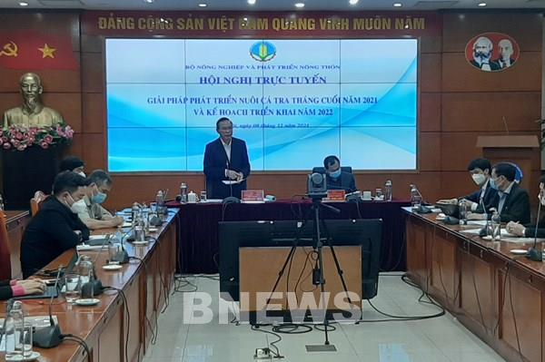 Quý I/2022, có thể thiếu nguyên liệu cá tra cho chế biến