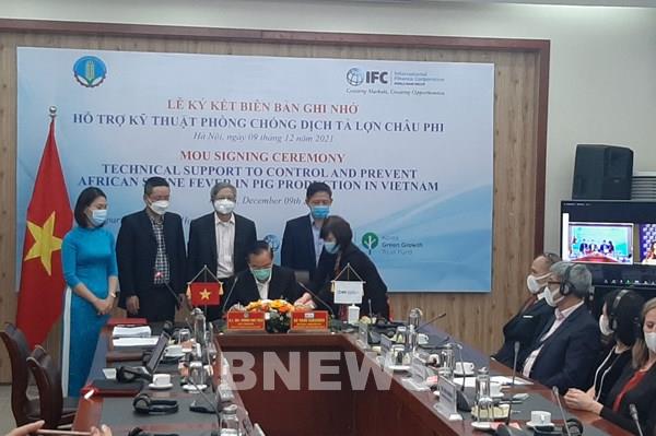 IFC hỗ trợ Việt Nam các giải pháp phòng, chống dịch tả lợn châu Phi