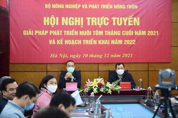 Nhiều cơ hội phục hồi cho sản xuất tôm nuôi
