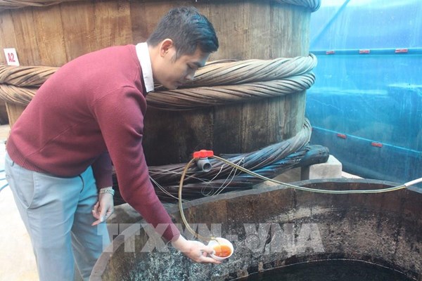 Làng nghề nước mắm truyền thống Khúc Phụ tất bật vào vụ Tết
