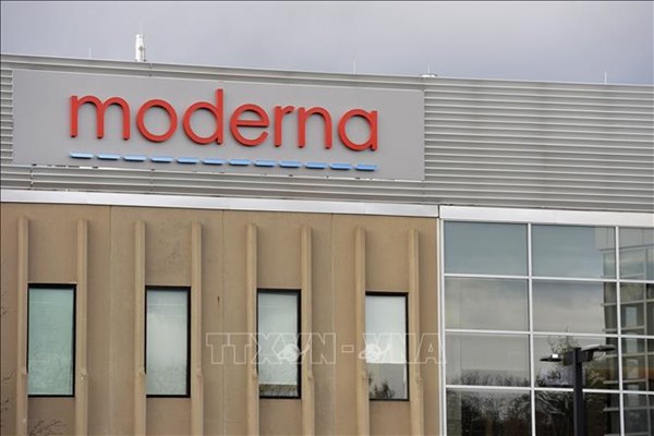 Mỹ hủy tài trợ hơn 700 triệu USD cho Moderna bào chế vaccine cúm gia cầm