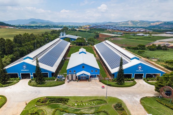 Vinamilk lọt Top 10 doanh nghiệp vì sự phát triển bền vững Việt Nam 2021