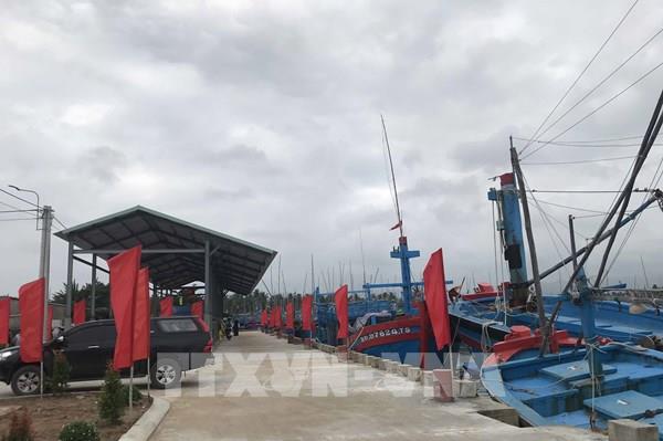 Bình Định công bố cảng cá loại 2 Tam Quan