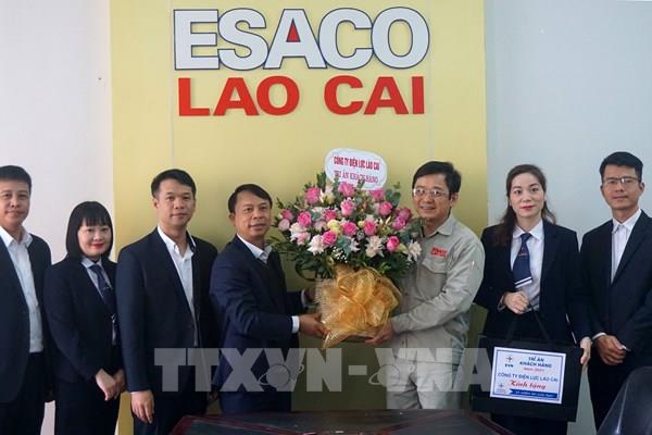 Điện lực Lào Cai hỗ trợ khách hàng gặp khó khăn do dịch COVID-19