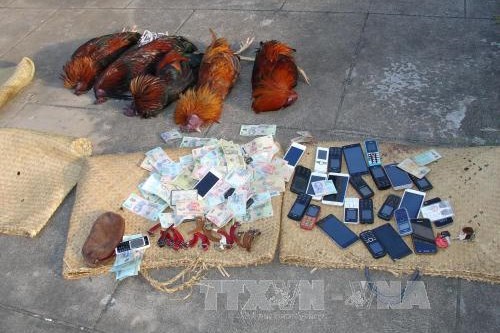 Triệt phá trường gà quy mô lớn ở trung tâm thành phố Hồ Chí Minh