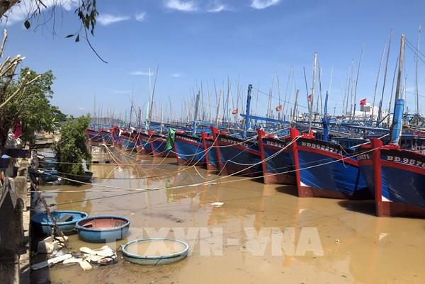 Sử dụng tàu, thuyền quá niên hạn bị phạt tới 75 triệu đồng