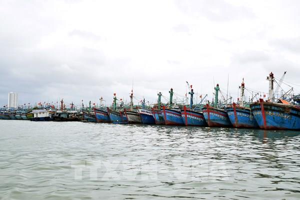 Bão Rai trở thành cơn bão số 9, từ Thanh Hóa đến Bình Thuận có mưa