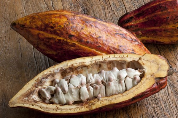 Giá nông sản chi tiết hôm nay 17/12