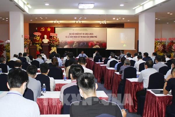 Hiệp hội Hồ tiêu khuyến cáo nông dân không việc mở rộng diện tích trồng tiêu mới