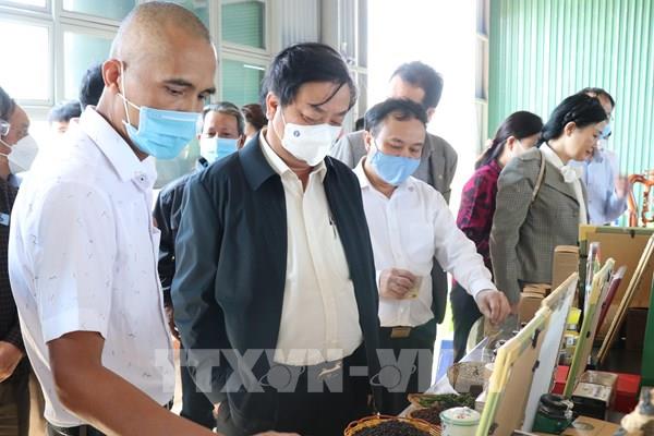 Gia Lai tận dụng tiềm năng tạo bước ngoặt về sản phẩm nông nghiệp