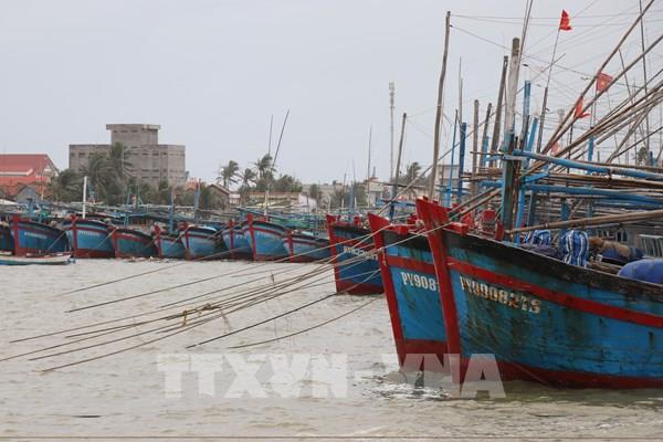 Bão số 9 giật cấp 17 cách bờ biển Bình Định - Khánh Hòa khoảng 550 km