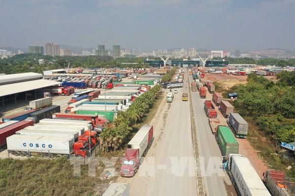 Triển khai chức năng cảnh báo chống ùn tắc phương tiện tại cửa khẩu