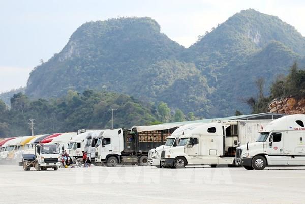 Bộ Công Thương khuyến cáo doanh nghiệp cần chuyển nhanh sang xuất khẩu chính ngạch