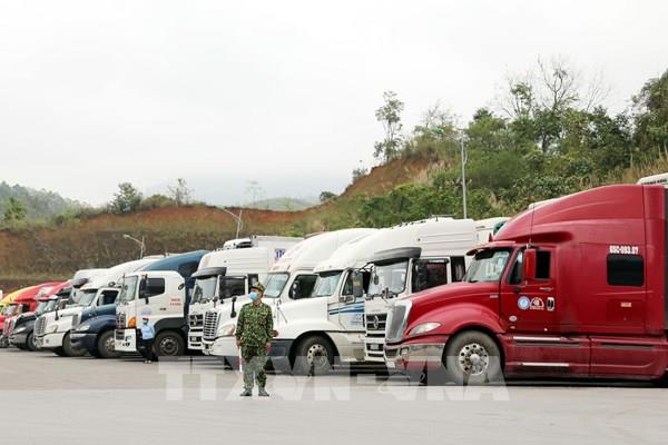 Xe chở nông sản ùn tắc ở cửa khẩu: Bộ GTVT lập tổ công tác hỗ trợ doanh nghiệp