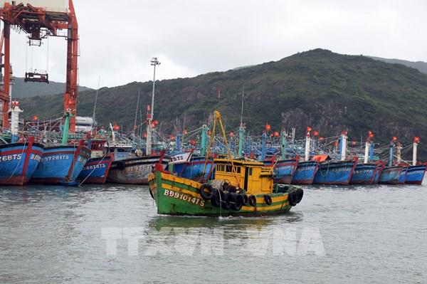 Nhiều vùng biển gió mạnh cấp 8-10, giật cấp 14, biển động dữ dội