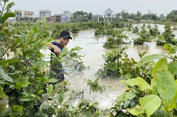 Hỗ trợ khẩn cấp 1.350 tỷ đồng khắc phục hậu quả thiên tai năm 2021