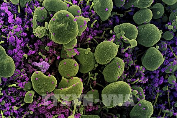 Sau ca mắc Omicron đầu tiên, Hà Nội hỏa tốc ra quy định với người nhập cảnh