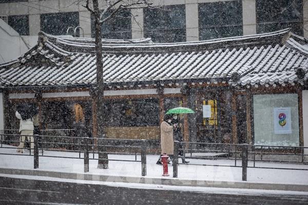 Hàn Quốc: KEPCO "đóng băng" giá điện trong quý I/2022