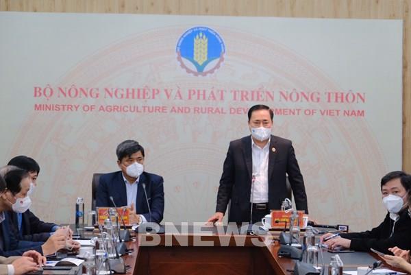 Doanh nghiệp phải thực hiện đúng các quy định trong xuất khẩu và phòng chống dịch của Trung Quốc