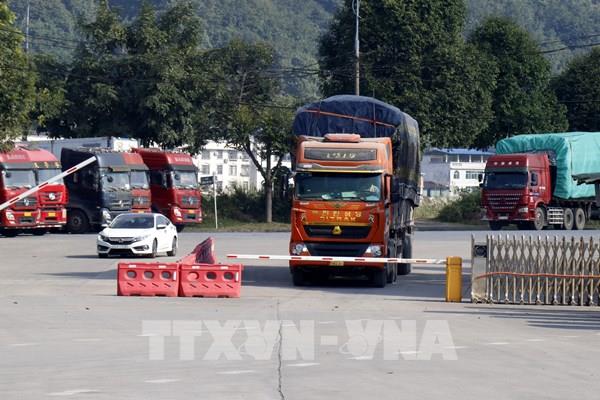 Nông sản tươi chưa thể làm thủ tục xuất nhập khẩu qua cửa khẩu Lào Cai