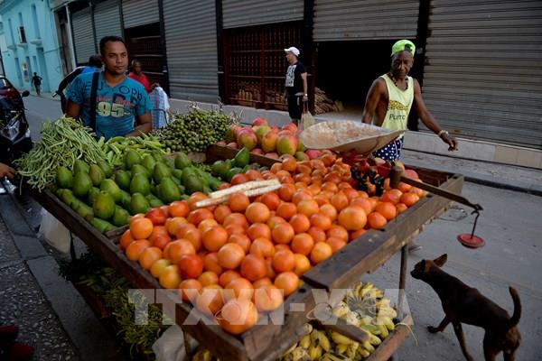 Lạm phát của Cuba tăng lên 2 con số