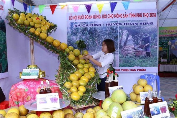 Cấp mã số vùng trồng giúp nông sản Phú Thọ vươn ra thế giới