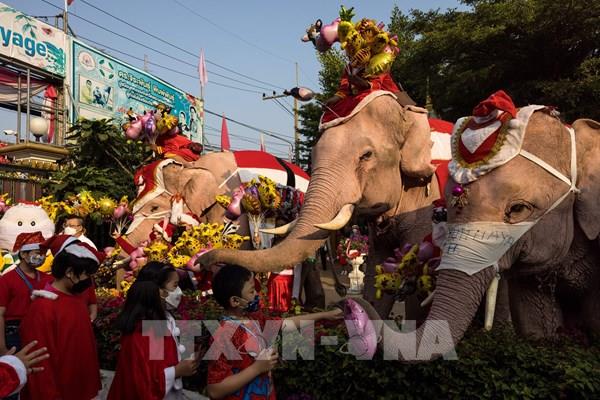 Độc đáo hình ảnh voi phát quà Giáng sinh tại Thái Lan