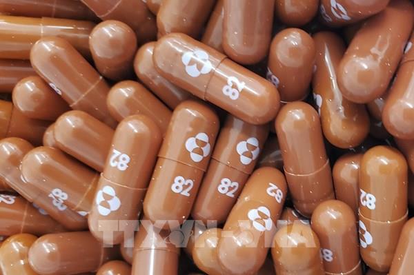 WHO khuyến nghị về việc sử dụng thuốc Molnupiravir chống COVID-19