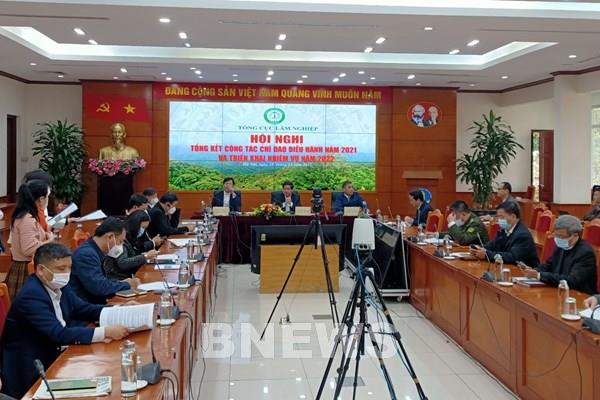 Không còn không gian phát triển, làm sao để nâng cao chất lượng rừng?