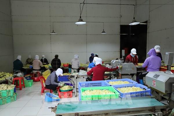 Kinh tế Yên Bái tăng trưởng cao nhất vùng miền núi Trung du phía Bắc