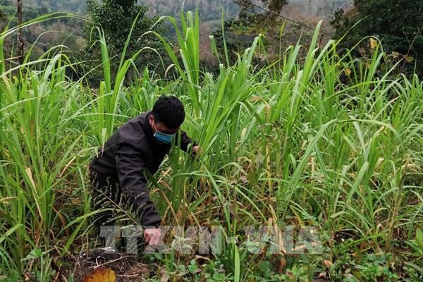 Dự báo thời tiết ngày mai 1/1: Vùng núi phía Bắc đêm rét dưới 13 độ C