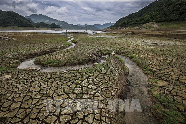 Lời khẩn cầu từ dòng Đà giang