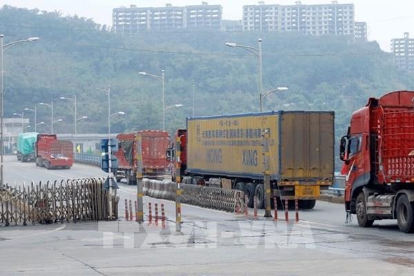 Thông tin cửa khẩu Lào Cai tạm dừng hoạt động xuất nhập khẩu từ 8/1 là chưa chính xác