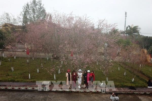 Dự báo thời tiết 21/1: Tây Nguyên trở rét với mức nhiệt 13-16 độ C