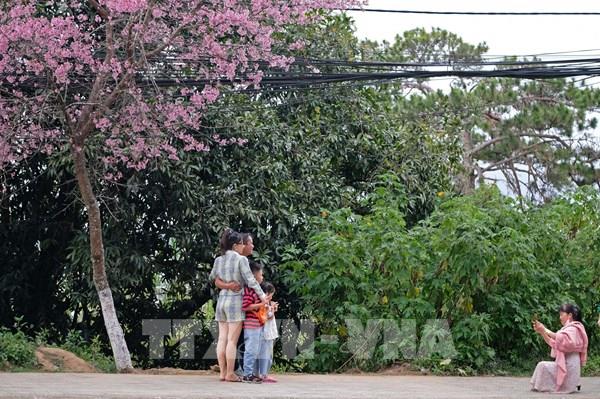 Những điểm đi chơi Tết Nguyên đán 2022 hấp dẫn 
