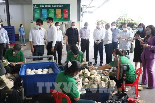 Bến Tre tổ chức tọa đàm xúc tiến đầu tư, thương mại với đại sứ ở nước ngoài