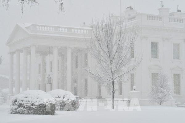 Bão tuyết hoành hành bờ Đông nước Mỹ