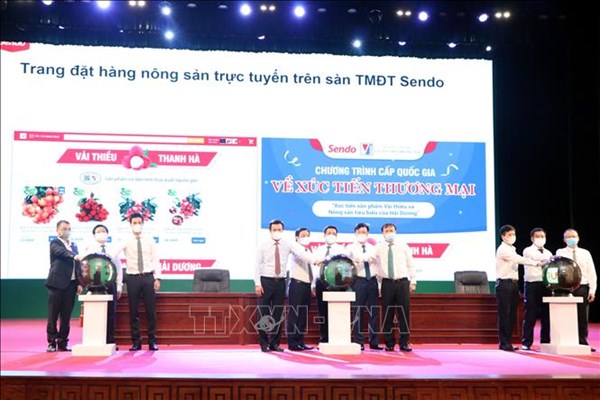 Hợp tác xã bắt nhịp thị trường số gia tăng xuất khẩu