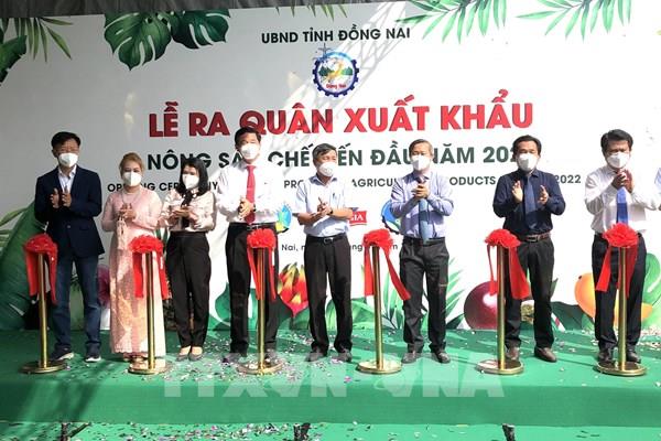 Đồng Nai xuất khẩu lô trái cây chế biến đầu tiên năm 2022 sang nhiều thị trường