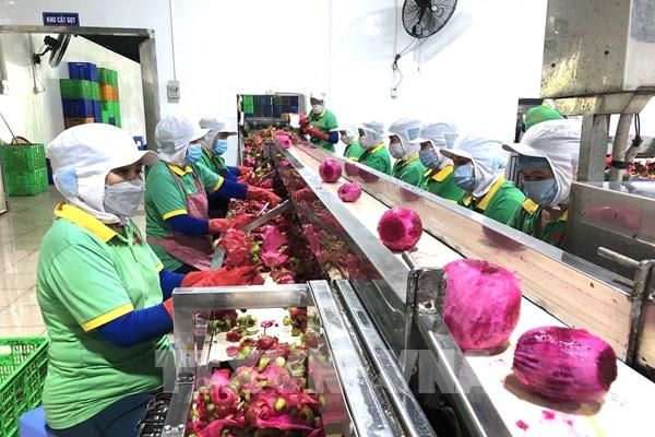 Cơ cấu lại nền kinh tế: Gia tăng sức mạnh nội lực