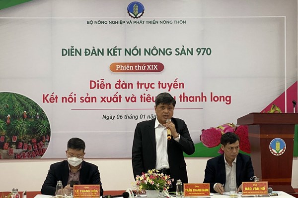 Hướng đi nào cho tiêu thụ trái thanh long?