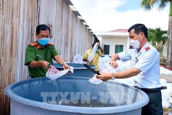 Phát hiện gần 5,3 triệu con tôm giống chưa qua kiểm dịch